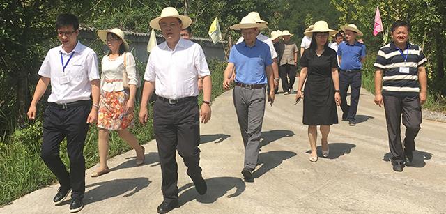 中央黨校副校長王東京考察調(diào)研北京資源集團(tuán)金色黑豬夢扶貧模式