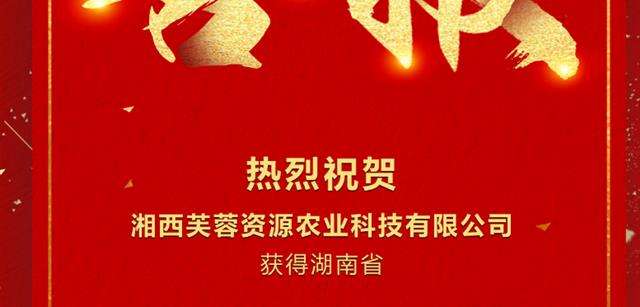 捷報頻傳,！北京資源集團(tuán)旗下湘西芙蓉資源獲湖南省專精特新企業(yè)資質(zhì)認(rèn)定