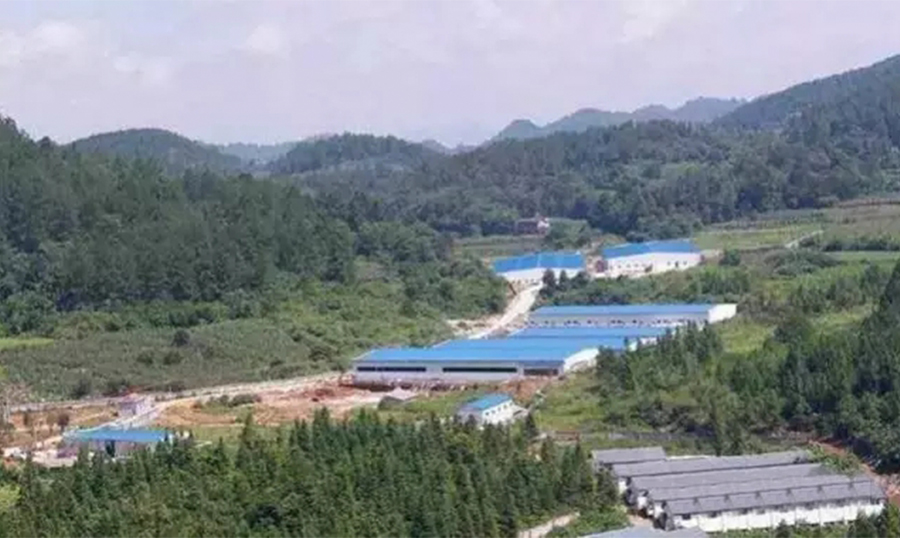 圖2.jpg